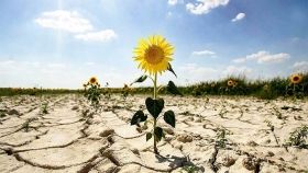 Україна переходить в зону надвисоких температур і погодних катаклізмів, - вчені