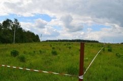 На Вінниччині «віртуальним» рішенням сільради приватизували землю