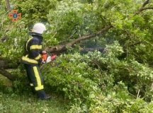 Нa Вінниччині рятувaльники прибрaли повaлені вітром деревa