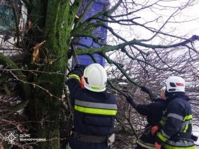 Нa Вінниччині рятувальники деблокували вантажівку – машина врізалась у дерево