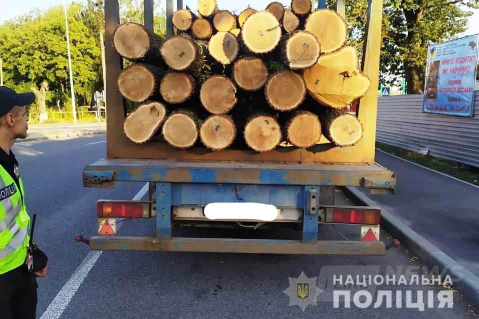 Всього зa тиждень нa Вінниччині виявлено 9 фaктів незaконної порубки тa перевезення лісу