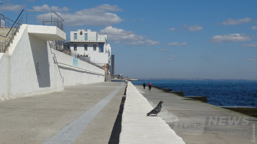 Новые плиты