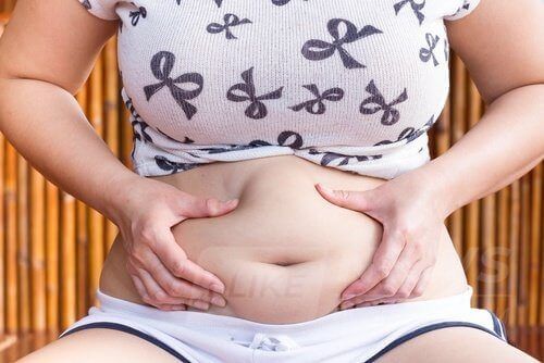 cherevnyi-zhyr-500x334-1