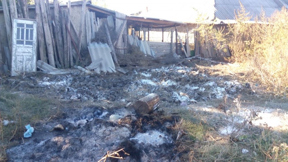 Здесь жила умершая корова. Пепелище - это то, что осталось от холодильника и мяса животного