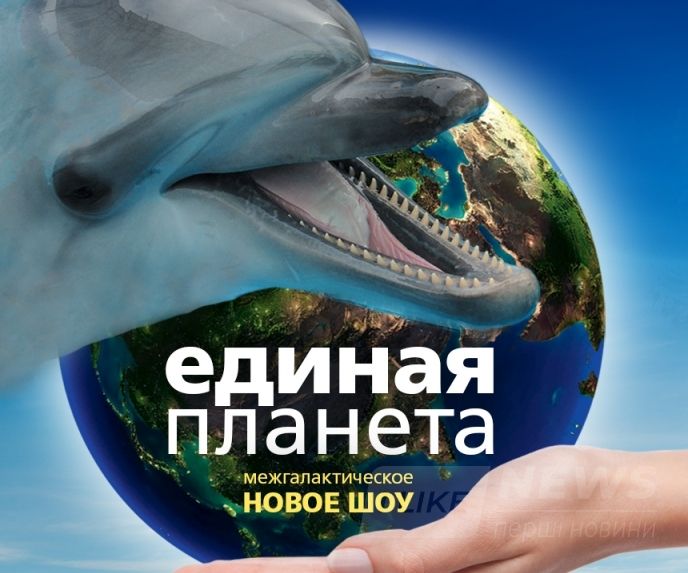 Картинки по запросу Новое шоу в дельфинарии "Единая планета"