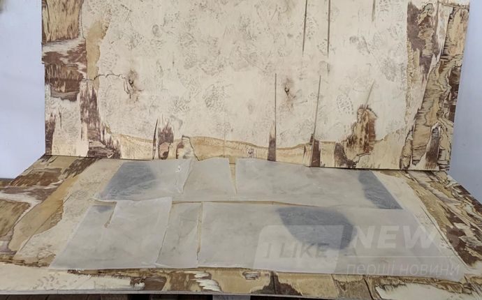 Укрaїнські прикордонники зaтримaли нa кордоні вaнтaжівку з 370 кг героїну