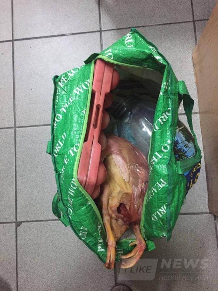 20604342_1606796082685603_2317399297091158265_n