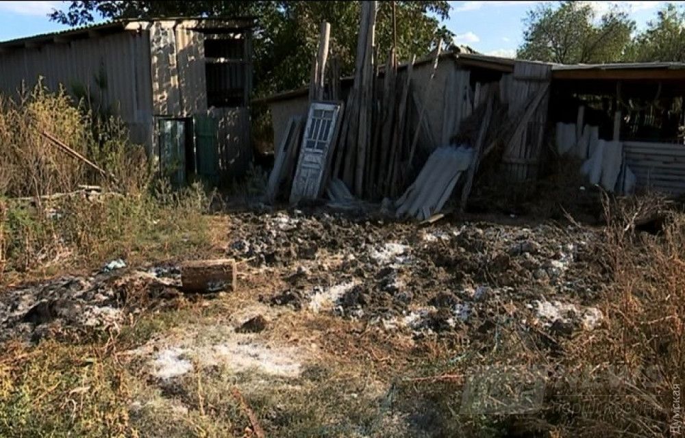 Здесь разделывали корову