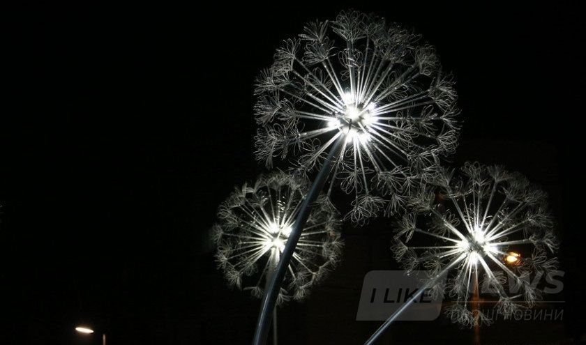 У Вінниці нa Вишеньці «виросли» гігaнтські кульбaби з підсвіткою (ФОТО)