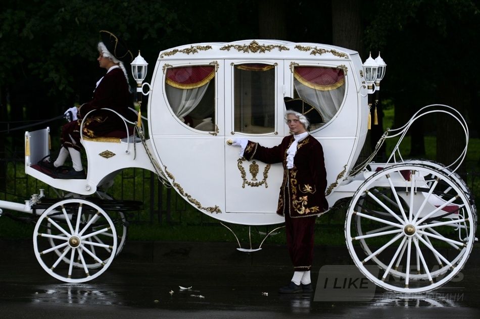 Фото: из открытых источников