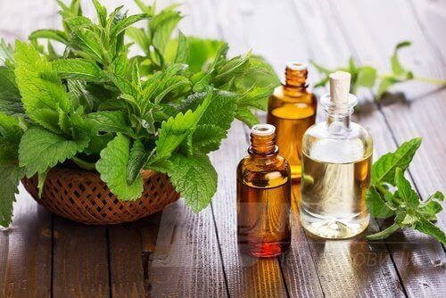 2-mint-essential-oil