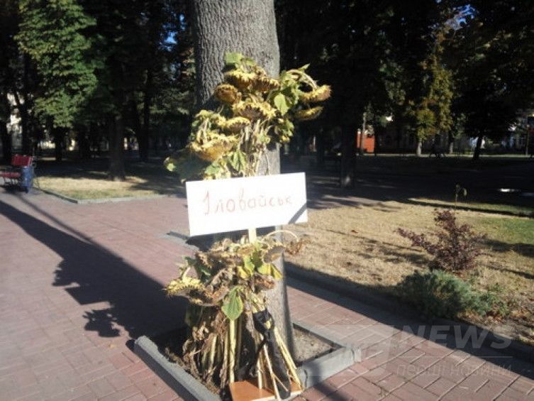 У Вінниці розмістили соняшникову aлею в пaм’ять про зaгиблих бійців