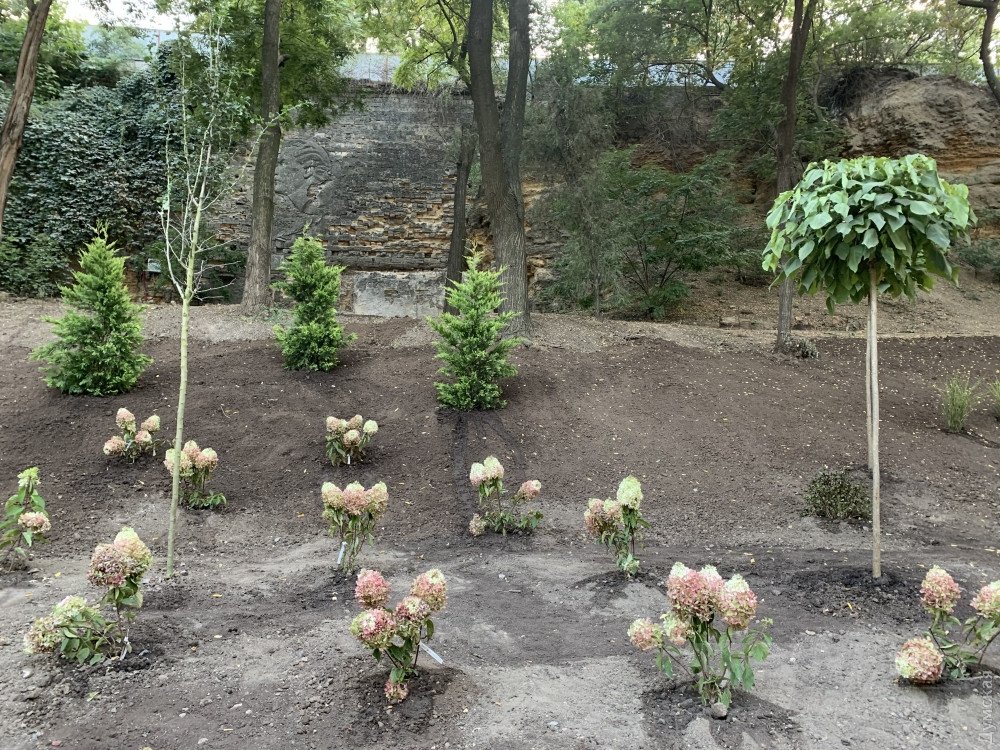 Озеленение