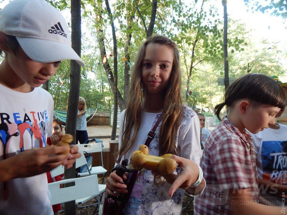 Спичкожелудение