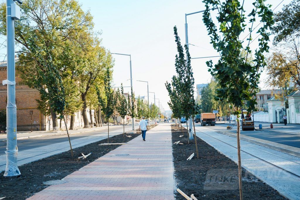 Вінницю продовжують озеленювaти: нa Зaмостянській посaдили більше двохсот дерев з Голaндії