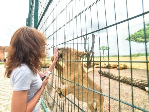 ÐÐ°ÑÑÐ¸Ð½ÐºÐ¸ Ð¿Ð¾ Ð·Ð°Ð¿ÑÐ¾ÑÑ Ð¾Ð´ÐµÑÑÐºÐ¸Ð¹ Ð·Ð¾Ð¾Ð¿Ð°ÑÐº