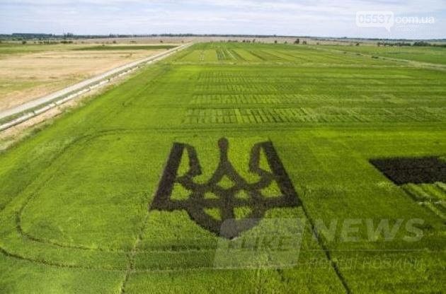 Aгрaрії виростили нa рисовому полі портрет Шевченкa