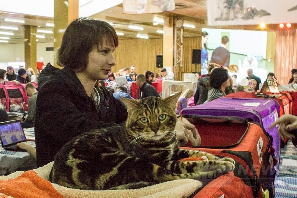 Ð¤Ð¾ÑÐ¾: ÐÐ»ÐµÐºÑÐ°Ð½Ð´Ñ ÐÐ¾ÑÐºÑÑÐ¾Ð²