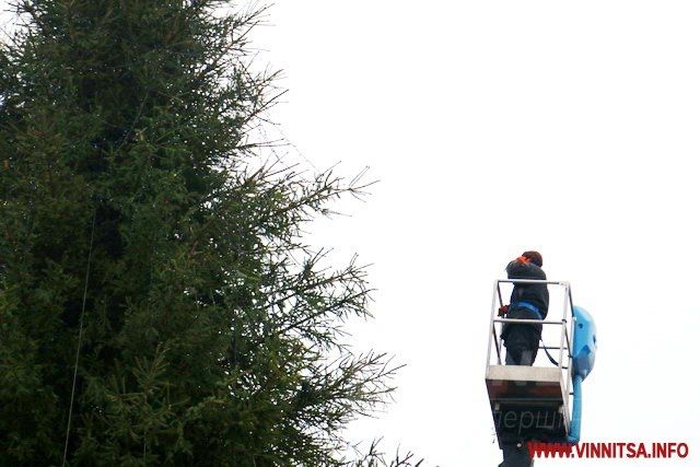 Винница.info: Головну ялинку Вінниці почали прикрашати гірляндами. Фото