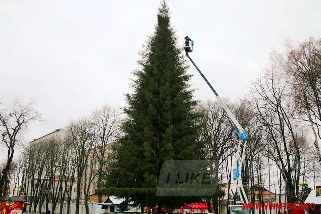 Винница.info: Головну ялинку Вінниці почали прикрашати гірляндами. Фото