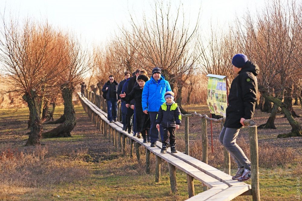 Деревянная тропа