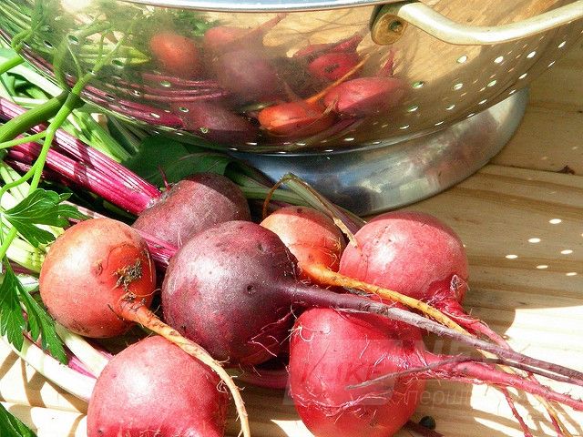 Буряк містить унікальний набір елементів, який складно знайти в інших продуктах. Фото: B.D.'s world/flickr.com. Ліцензія: creativecommons.org/licenses/by-sa/2.0