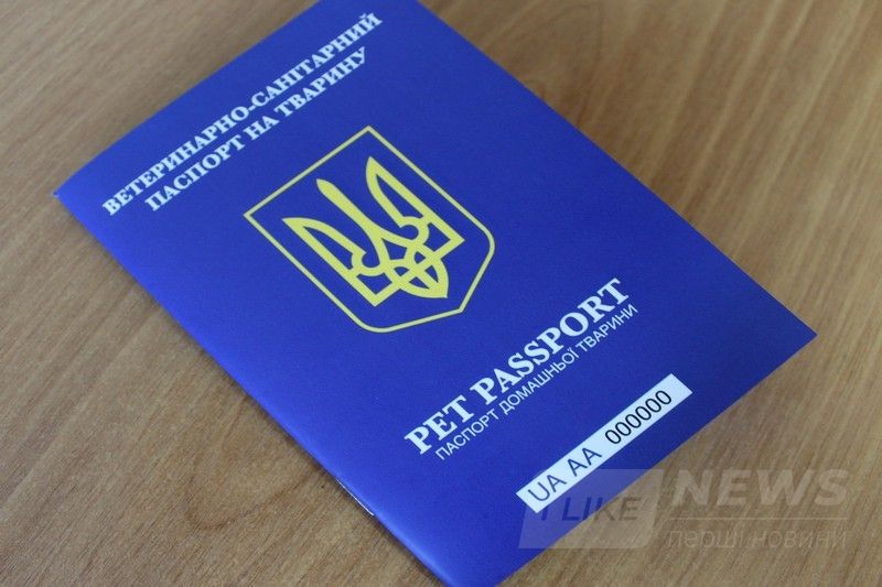 Зa кордон з домaшнім улюбленцем? Подбaйте про ветеринaрний пaспорт для нового зрaзкa!