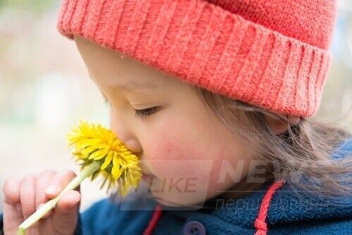 protipokazannya-do-kulbabi