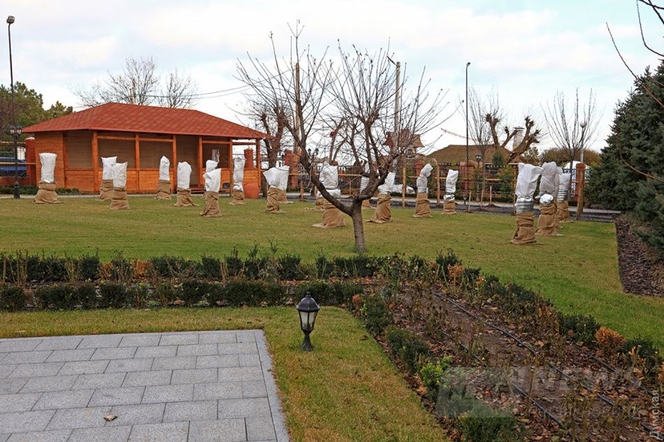 Все фото: Думская