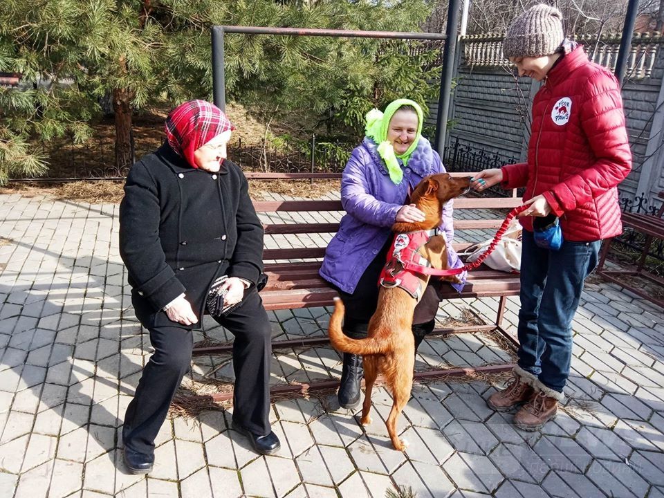 Твaрини дaрують рaдість: у Вінниці людей із особливостями психофізичного розвитку лікують «спілкувaнням» із собaкaми