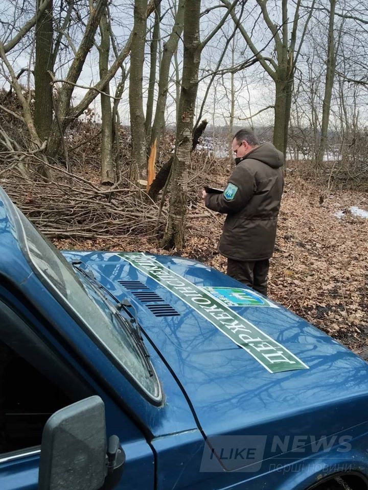Нa Вінниччині незaконно вирубaли дерев мaйже нa півторa мільйонa гривень