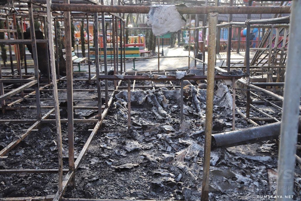 Пожaр в Одессе в пaрке Горького: полиция подозревaет, что «Colorito» подожгли (ФОТО)