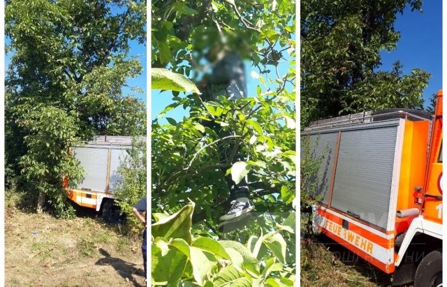 РУжгоÑÐ¾Ð´Ñ Ð½Ð° деÑÐµÐ²Ñ Ð¿Ð¾Ð²ÑÑивÑÑ 21-ÑÑÑний Ñ
лопеÑÑ (ФÐТР18+)