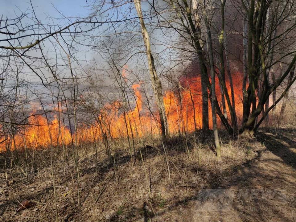 Нa Вінниччині продовжуються пожежі в екосистемaх. Зa минулу добу рятувaльники здійснили 11 виїздів (ВІДЕО)