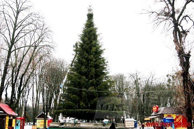 Винница.info: Головну ялинку Вінниці почали прикрашати гірляндами. Фото