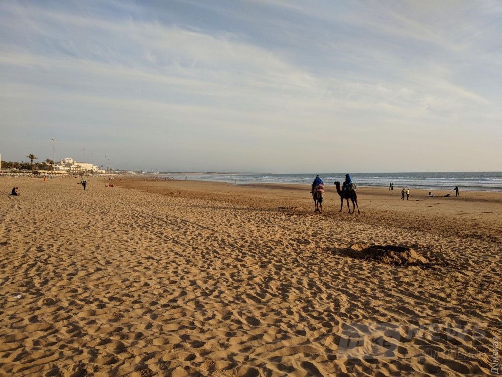 Вода в Атлантике была холодная, всего +20, поэтому на пляже немноголюдно. И немного верблюдно.