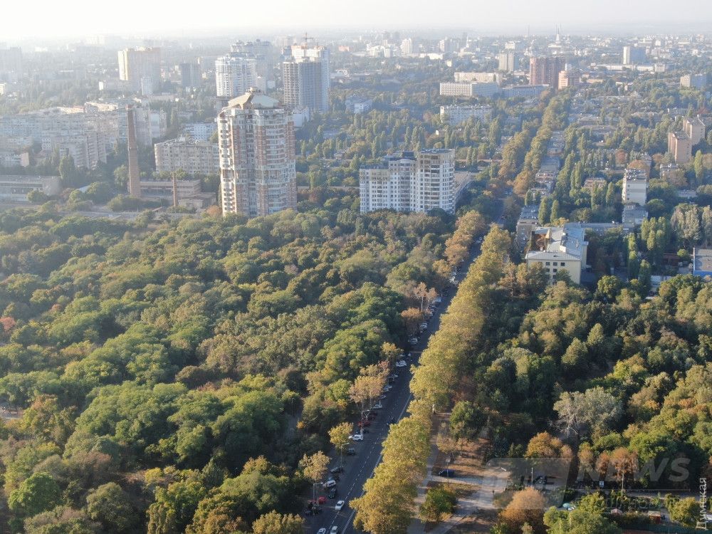 Проспект Шевченко