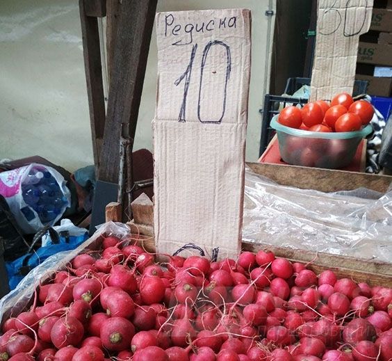 Ð¦ÐµÐ½Ñ Ð² ÐÐ´ÐµÑÑÐµ: ÑÐµÐ´Ð¸ÑÐºÐ° Ð¾Ñ 10 Ð³ÑÐ¸Ð²ÐµÐ½, ÐºÐ°Ð¿ÑÑÑÐ° â 25