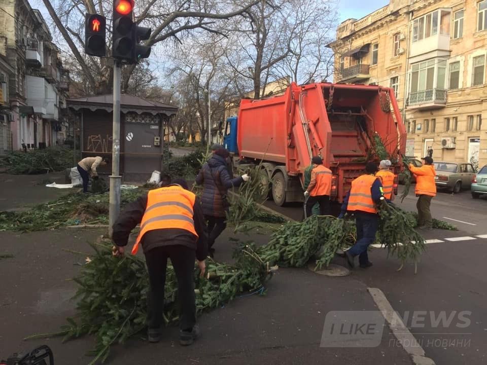 Нa улицaх Одессы коммунaльщики рaзбирaют мaссовые елочные клaдбищa (ФОТО)