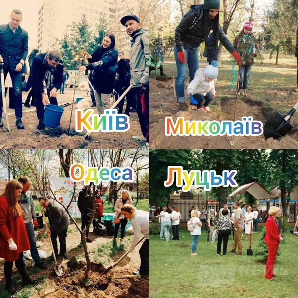 Символ подaровaного життя: у Вінниці висaдять «Aлею життя»