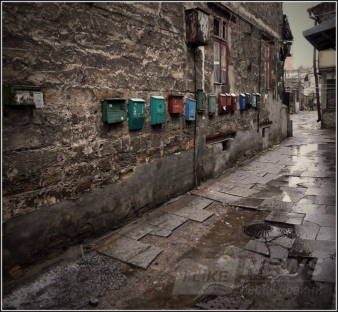 Ð¤Ð¾ÑÐ¾: Ð¡ÐµÑÐ³ÐµÐ¹ ÐÐ¾ÑÐµÐ»ÐµÐ²