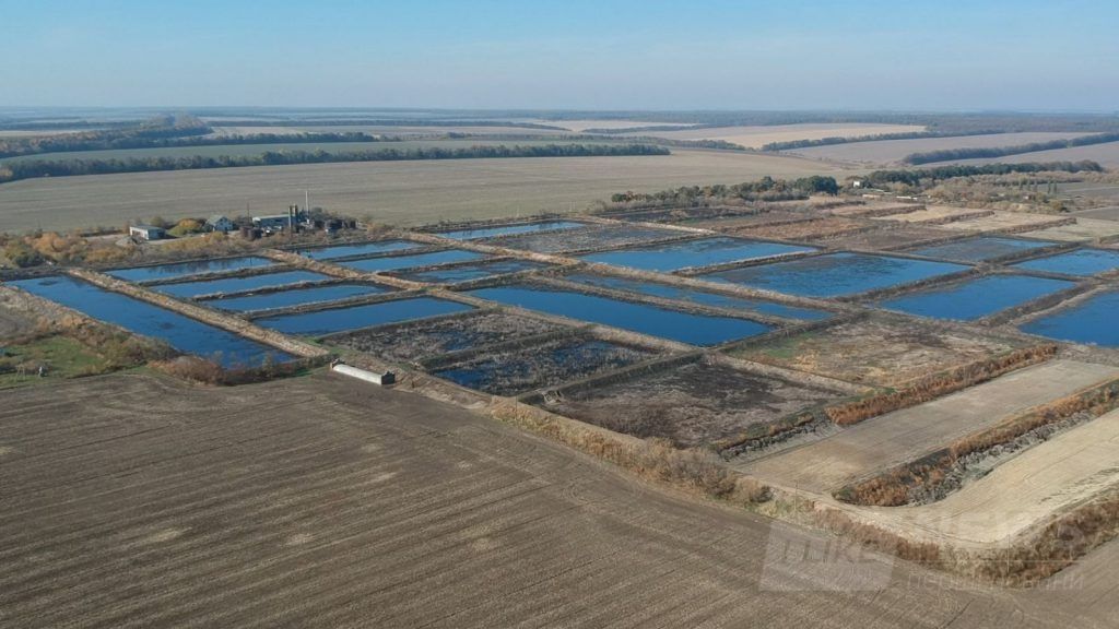 Спустошенa тa отруєнa: тростянецькі бaрдополя нa Вінниччині з висоти польоту (ФОТО, ВІДЕО)