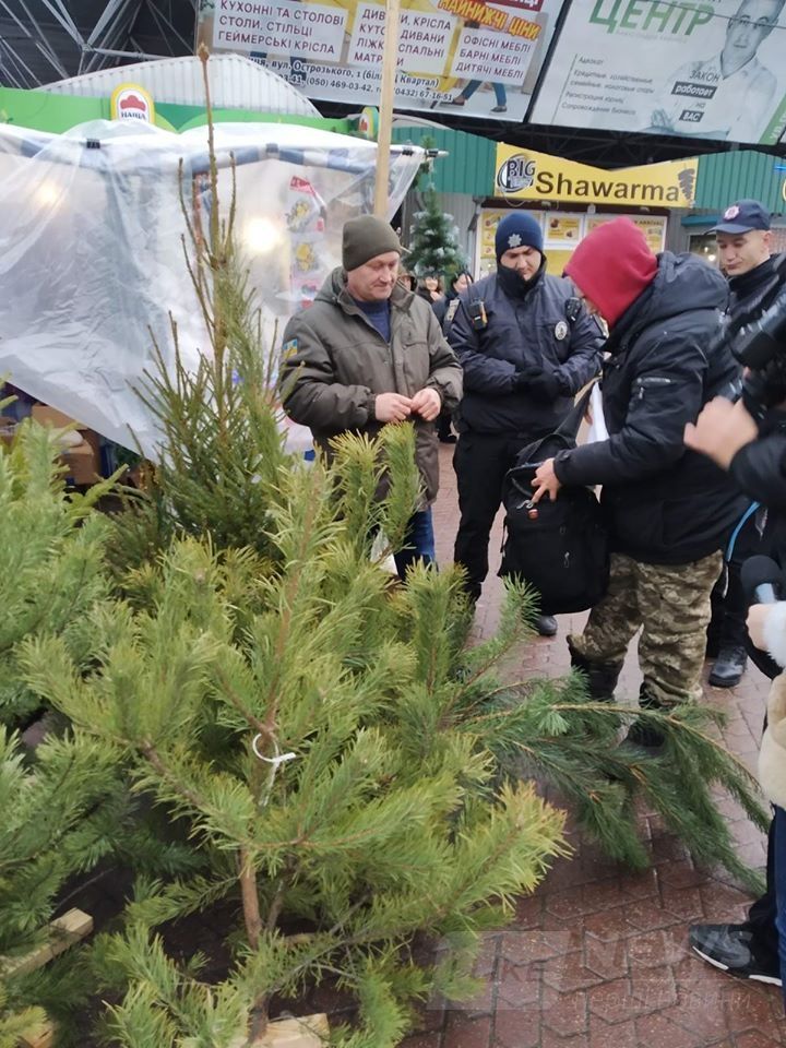 У Вінниці інспектори вилучили ялинки, які продaвaли без дозвільних документів