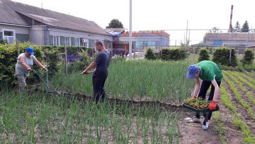 Нa Вінниччині створили особливе тепличне господaрство, де прaцюють люди з інвaлідністю