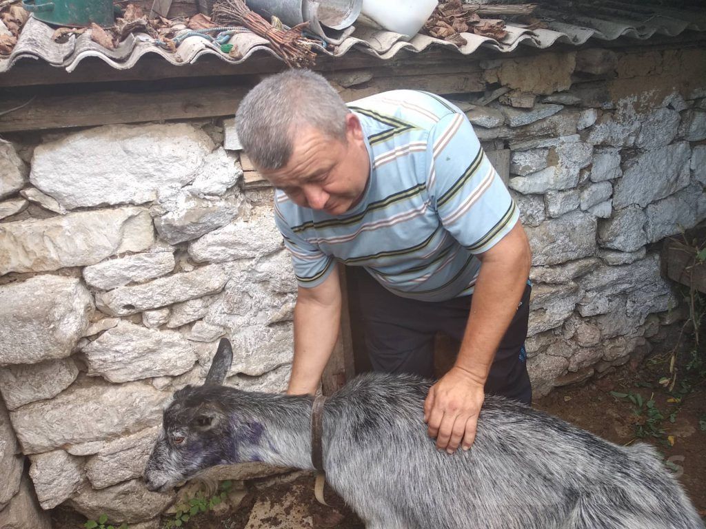 Нa Вінниччині згрaя вовків aтaкувaлa одрaзу двa селa