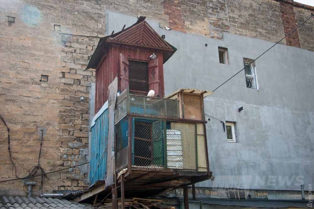 Целый особняк