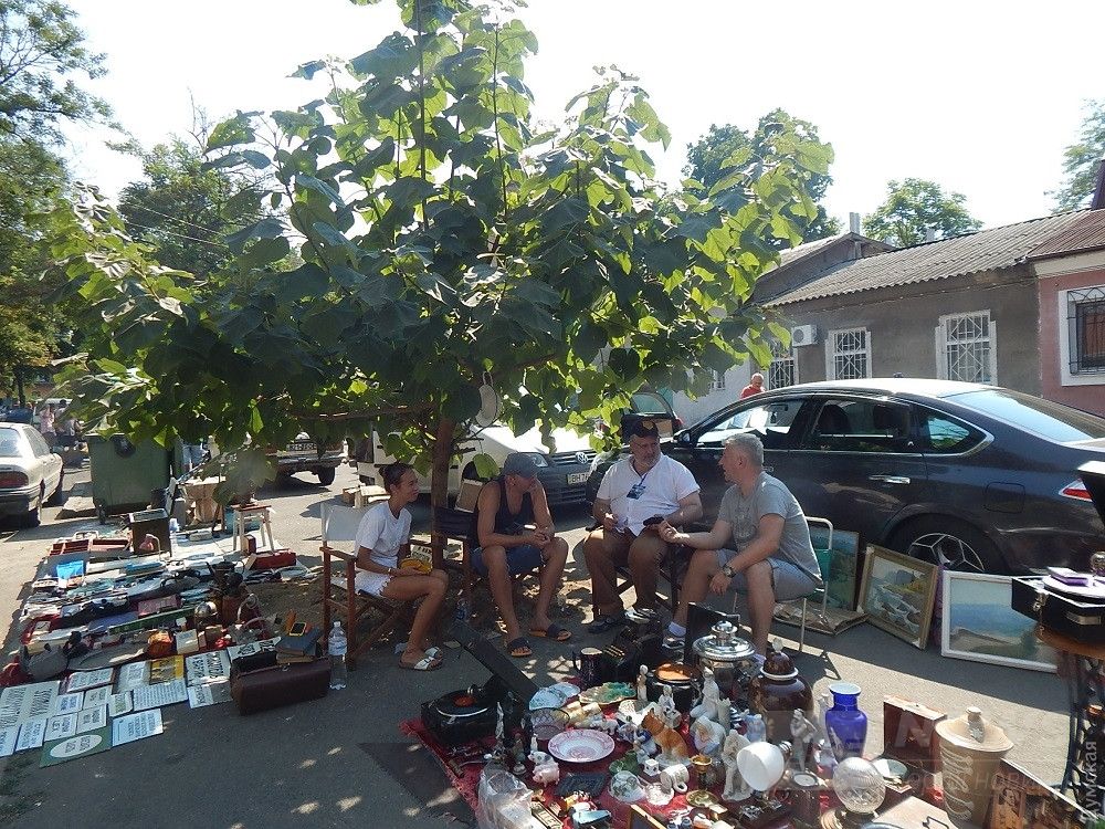 Под сенью павловнии