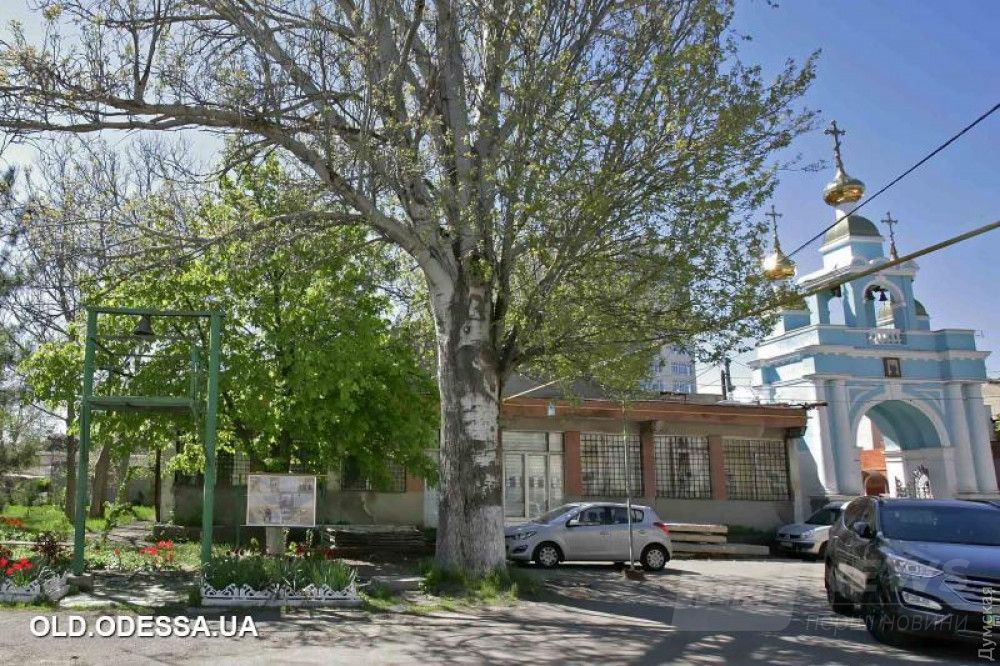 Здесь и ниже - фото old.odessa.ua