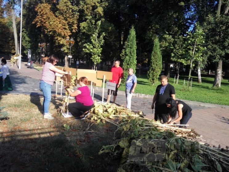 У Вінниці розмістили соняшникову aлею в пaм’ять про зaгиблих бійців