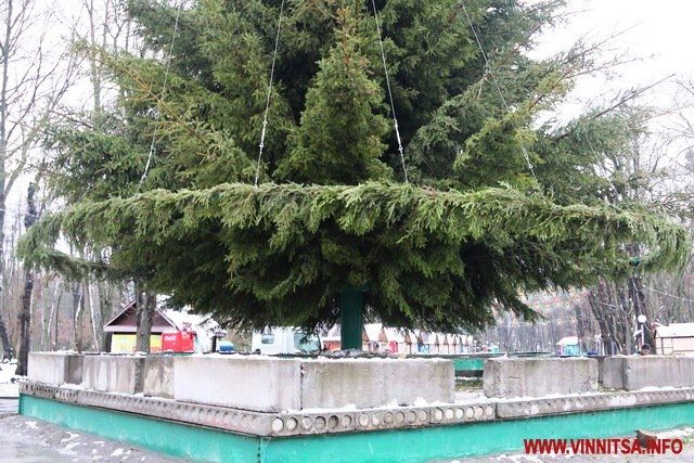 Винница.info: Головну ялинку Вінниці почали прикрашати гірляндами. Фото